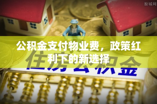 埌东公积金支付物业费，政策红利下的新选择