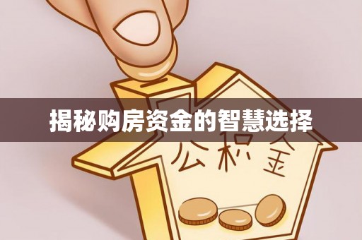 埌东揭秘购房资金的智慧选择