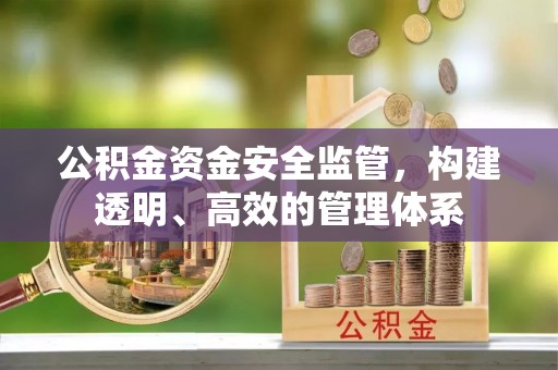埌东公积金资金安全监管，构建透明、高效的管理体系