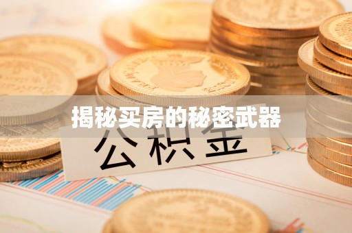 埌东揭秘买房的秘密武器