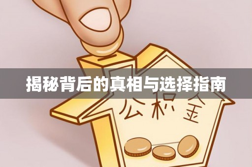 埌东揭秘背后的真相与选择指南