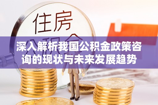 埌东深入解析我国公积金政策咨询的现状与未来发展趋势