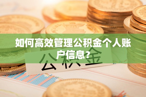 埌东如何高效管理公积金个人账户信息？